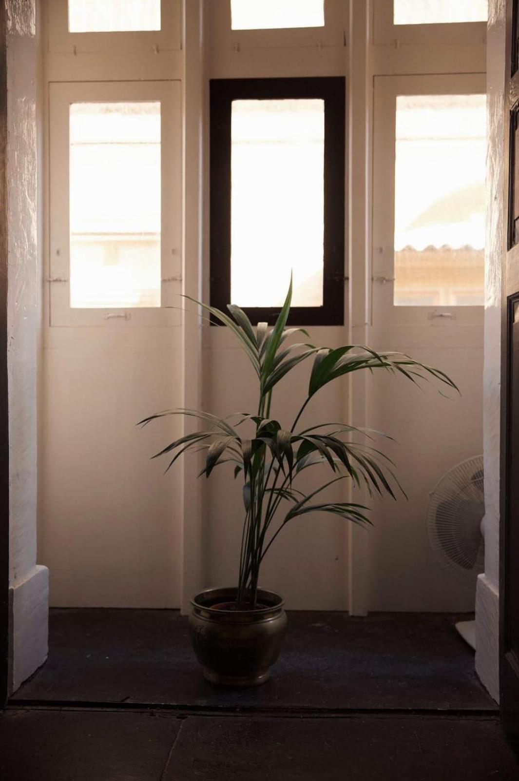 Grand House Of Character Valletta Floriana Habitación foto